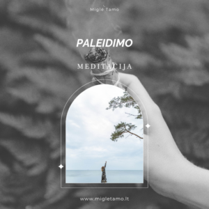 Paleidimo Meditacija