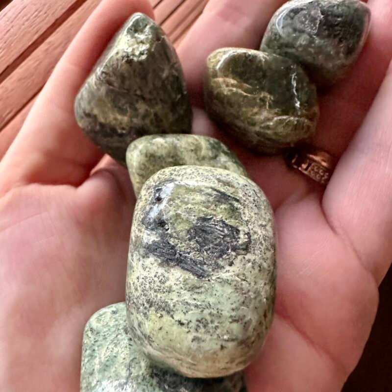IMG_7023 serpentinas