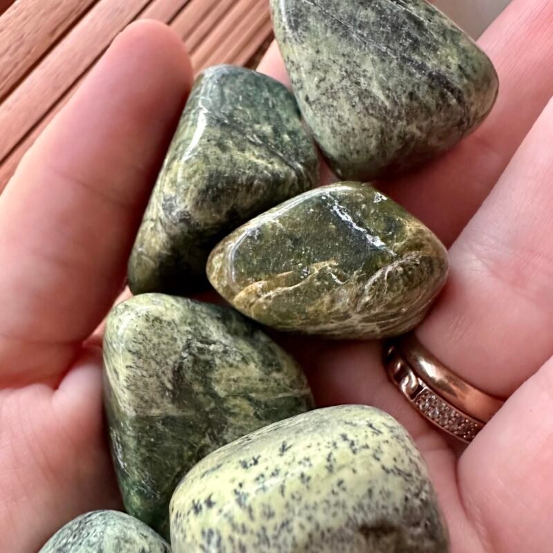 IMG_7025 serpentinas