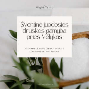 juodosios druskos gamybos kursas
