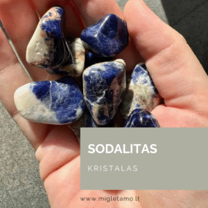 Sodalitas