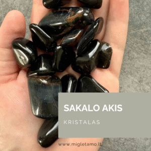 Sakalo akis