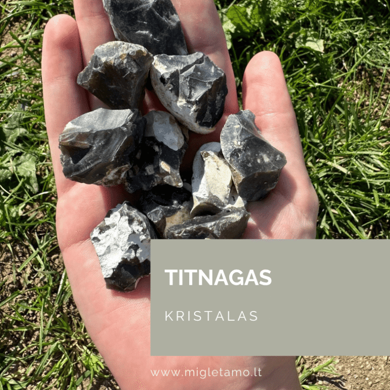 titnagas
