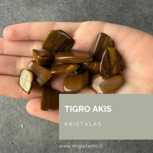 tigro akis