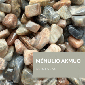 menulio akmuo