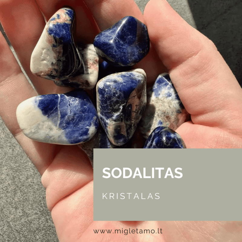 sodalitas