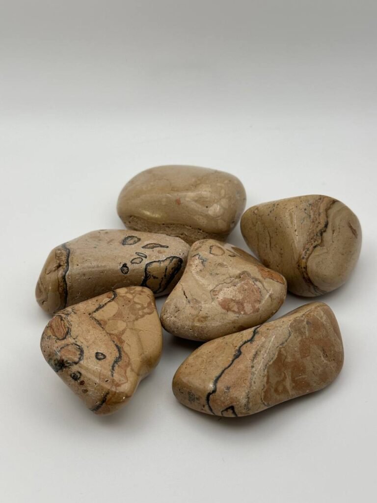 Paveikslinis jaspis delninukas