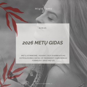 2026 metu gidas