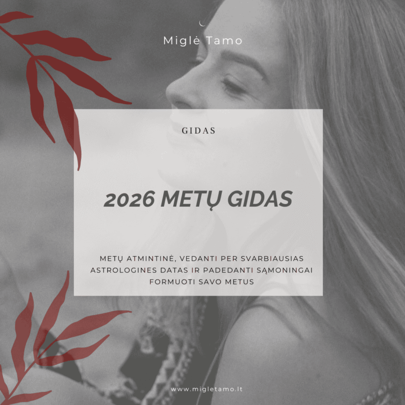 2026 metu gidas