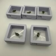 mold1