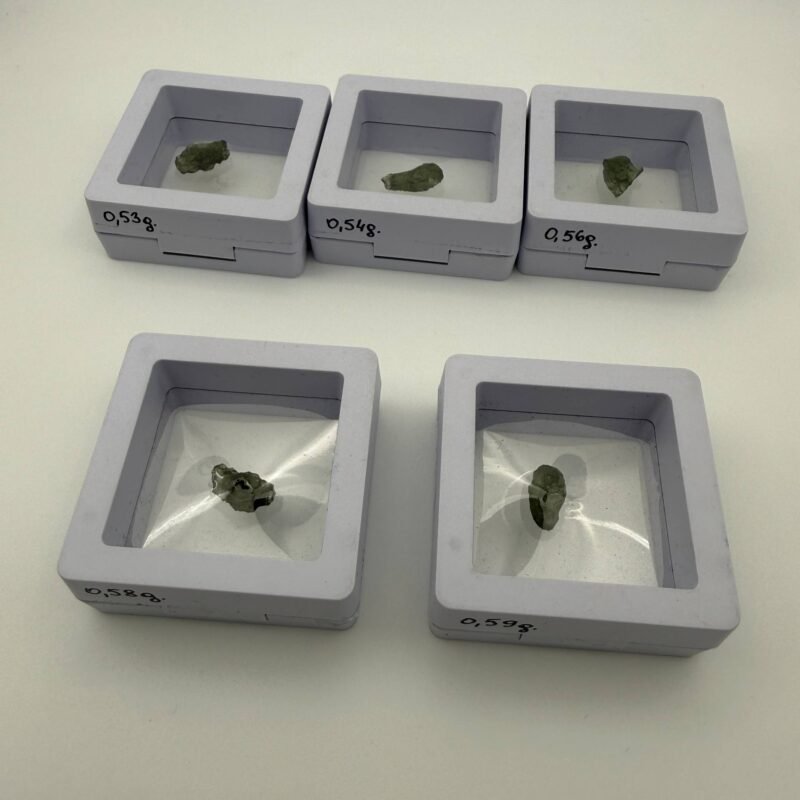 mold1 mold1