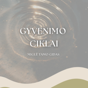 Gyvenimo Ciklo Gidas