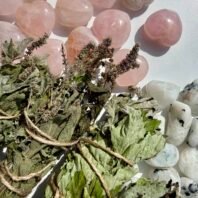 IMG_2990