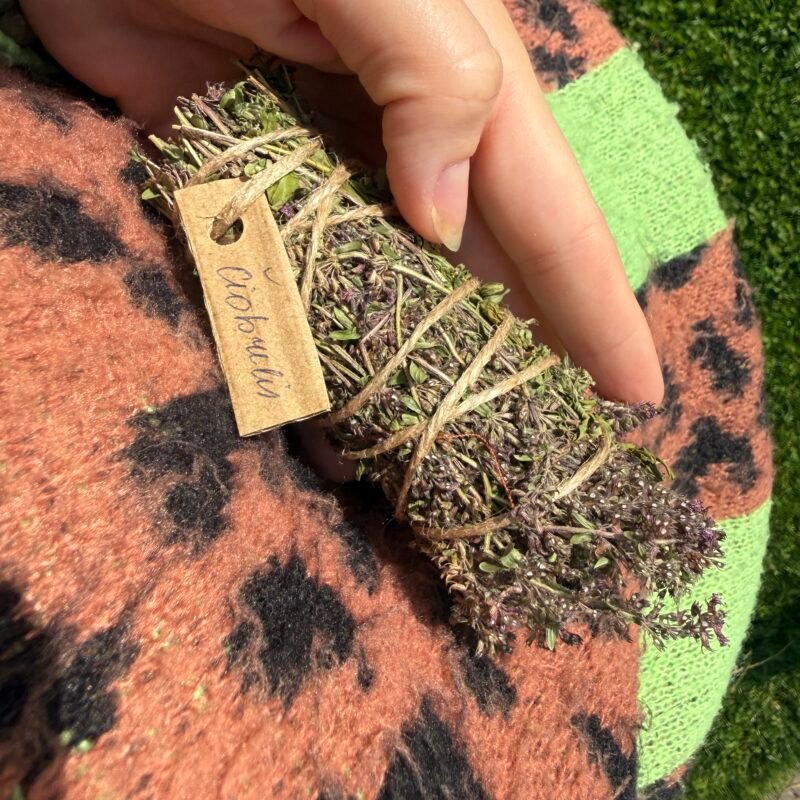 IMG_1020 Čiobrelio smilkalas SAVO TIESAI