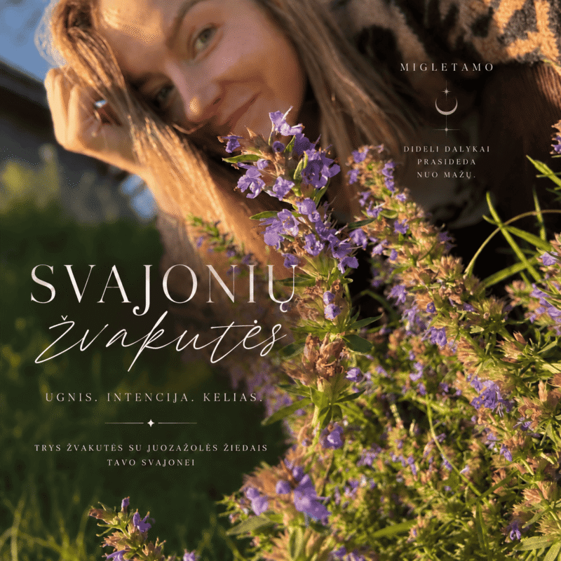 SVAJONIŲ – 3 ritualinės žvakutės su juozažolės žiedais